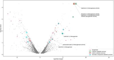 Transcriptomic Analysis of Rhodococcus opacus R7 Grown on o-Xylene by RNA-Seq